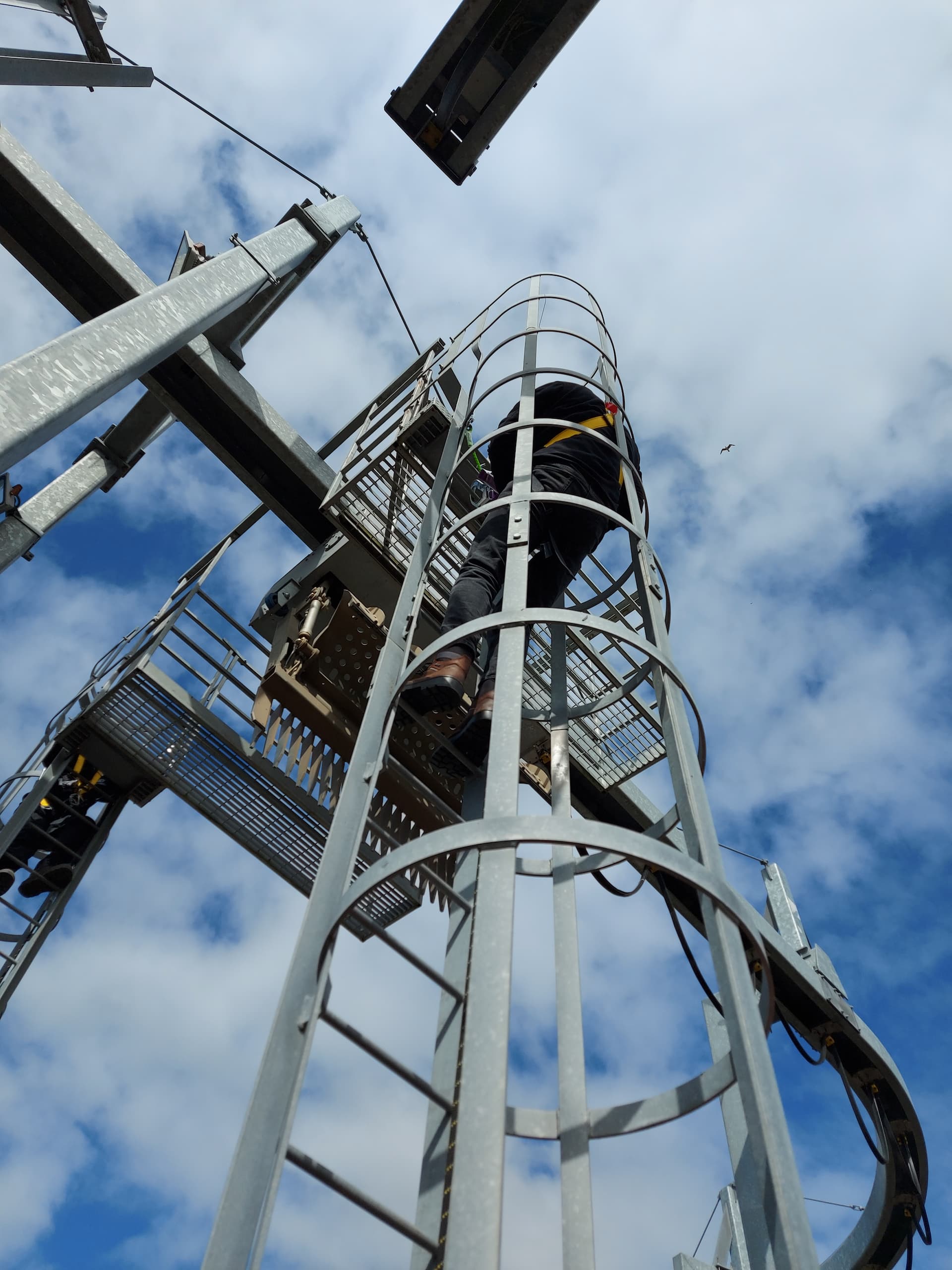 Fixed Ladder Training Health & Safety Training Courses