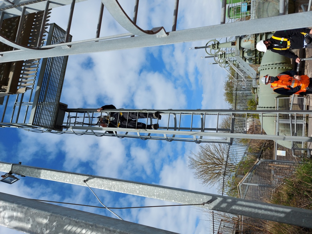 Apple Group Training