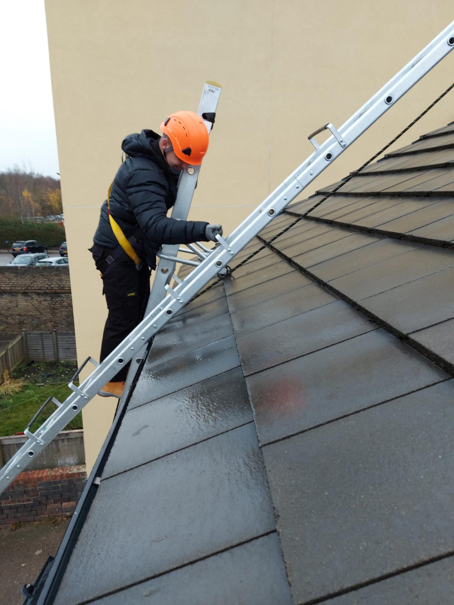 Steps, Ladder & Roof Ladder Courses Health & Safety Training Courses